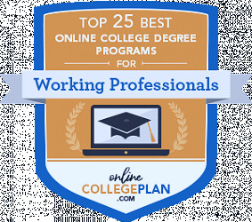 25 Best Online Degree Programs for Working Professionals